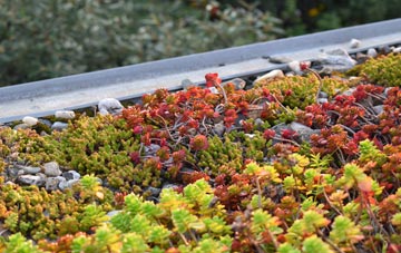 the cost of Northfleet Green green roof installation