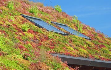 Northfleet Green living roof systems